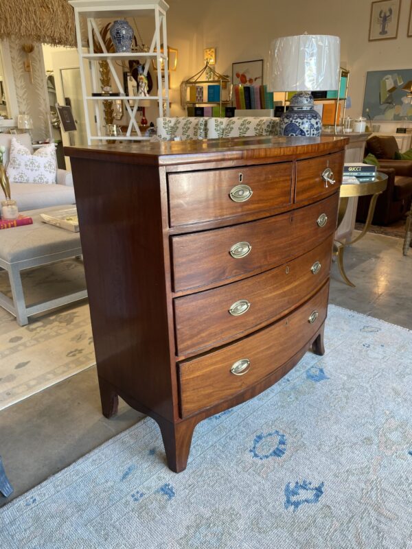 English Bow Front Chest in light colored Mahogany with Nice tall feet, Oak Interior wood - Image 3