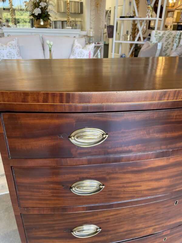 American Federal Bow Front Chest in Mahogany - Image 4