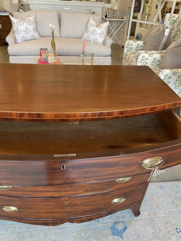 American Federal Bow Front Chest in Mahogany - Image 5