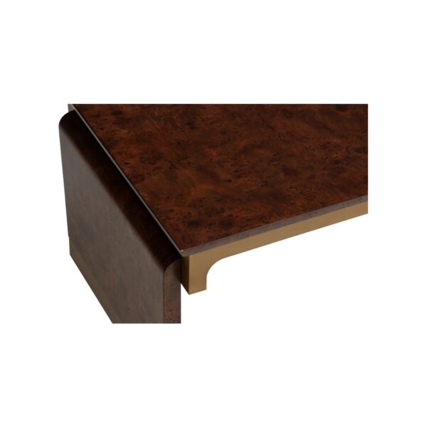 Gion burlwood coffee table - Image 3