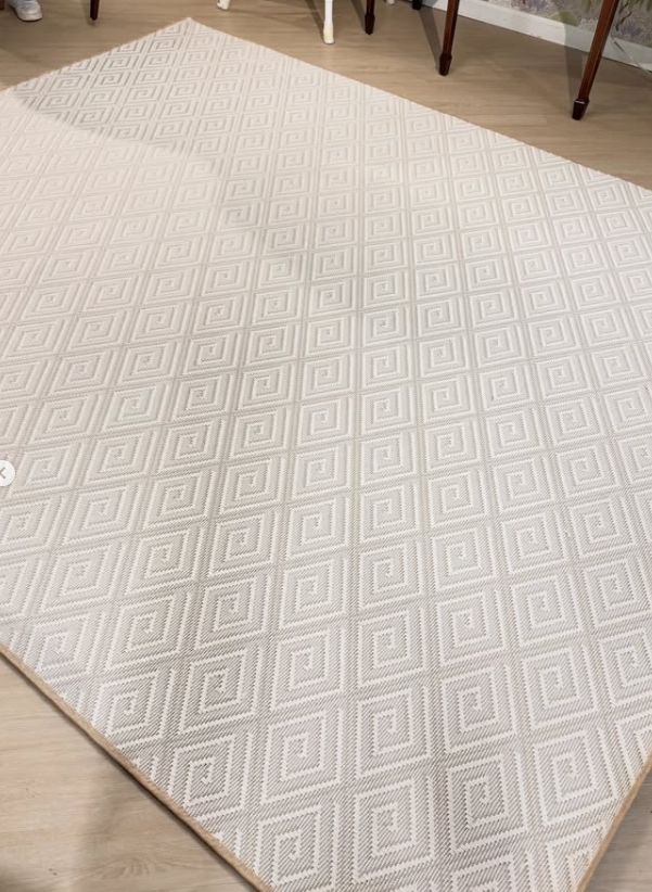 NEW | 8 x 10 Emily rug! The perfect neutral indoor / outdoor rug! - Image 2